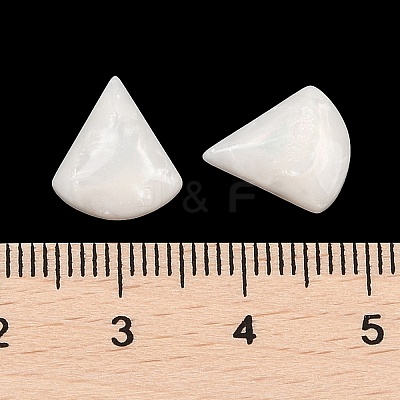 Opaque Resin Decoden Cabochons CRES-I036-19A-1