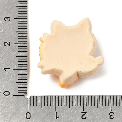 Opaque Resin Cabochons RESI-L050-01C-1