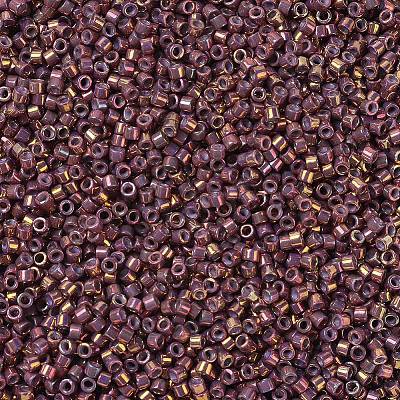 MIYUKI Delica Beads Small X-SEED-J020-DBS1013-1