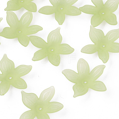 Transparent Acrylic Beads MACR-S373-127-D06-1