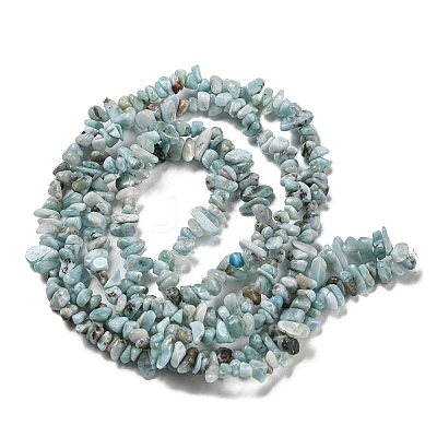 Natural Larimar Beads Strands G-G0003-B40-1