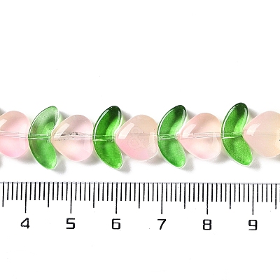 Transparent Glass Beads Strands GLAA-B021-04D-1