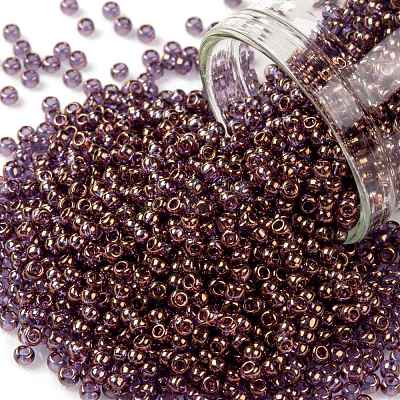 TOHO 11/0 Round Beads X-SEED-TR11-0202-1