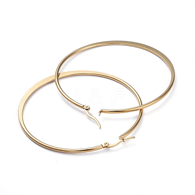 201 Stainless Steel Hoop Earrings EJEW-I245-01D-1