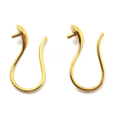 316 Surgical Stainless Steel Earring Hooks X-STAS-G310-02G-1