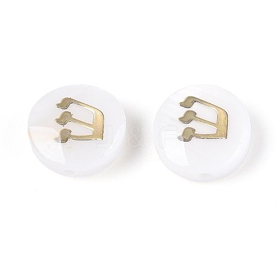 Natural Freshwater Shell Beads LS-BSHE-ZX007-03F-1