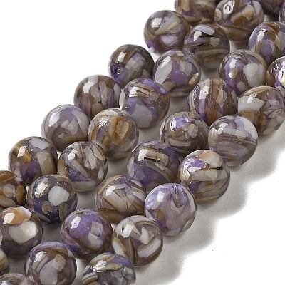 Freshwater Shell Beads Strands BSHE-L039-08B-10-1