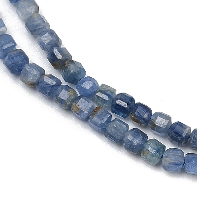 Natural Kyanite Beads Strands G-B088-E24-03A-1