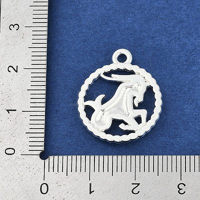 Twelve Constellations Alloy Pendants PALLOY-Q006-01C-S-1