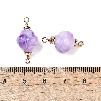 Opaque Acrylic Imitation Gemstone Links Connector Charms KK-K296-08B-G-1