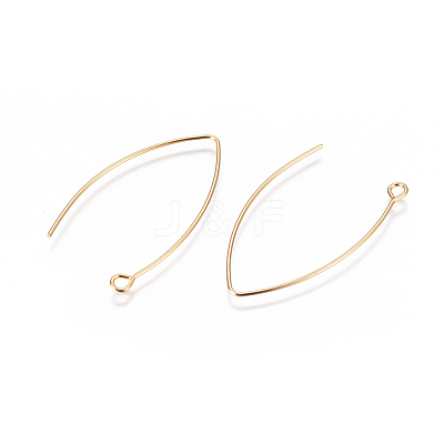 304 Stainless Steel Earring Hooks X-STAS-F227-26B-G-1