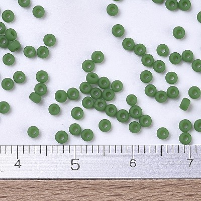MIYUKI Round Rocailles Beads X-SEED-G007-RR0411F-1