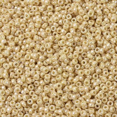 MIYUKI Round Rocailles Beads X-SEED-G007-RR0488-1