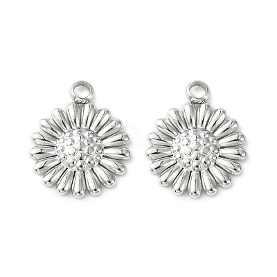 Non-Tarnish 304 Stainless Steel Charms LS-STAS-L269-062P-1