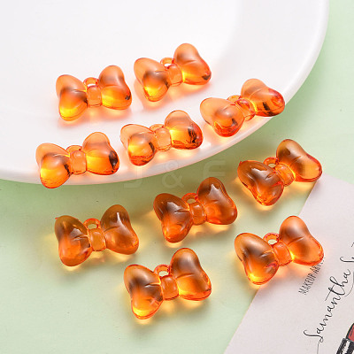 Transparent Acrylic Pendants TACR-T024-02BB-921-1