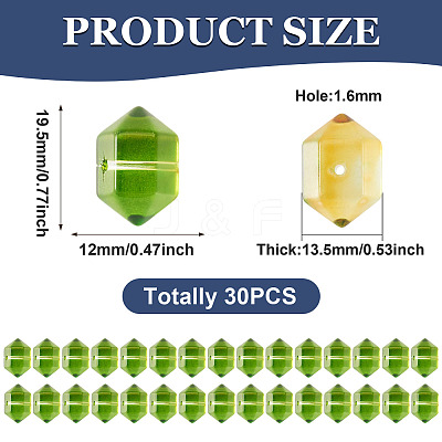 30Pcs Transparent Handmade Lampwork Beads LAMP-TADJ0001-12I-1