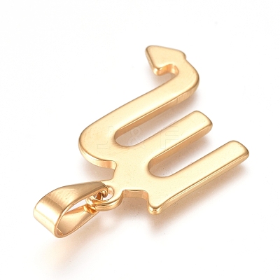 304 Stainless Steel Pendants STAS-L210-06G-G-01-1