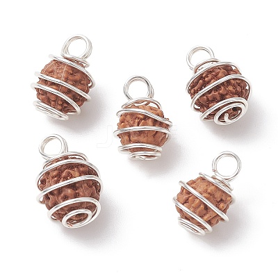 Natural Rudraksha Copper Wire Wrapped Pendants PALLOY-JF02068-02-1