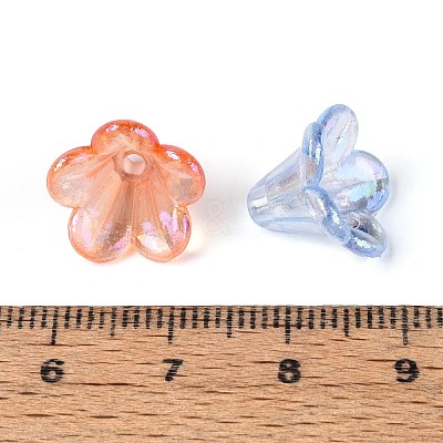 Transparent Acrylic Flower Bead Caps TACR-T030-25M-1