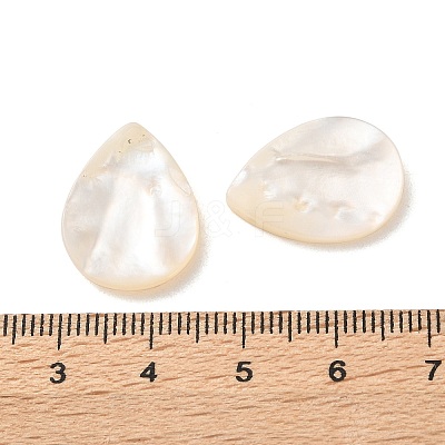 Natural White Shell Beads SSHEL-F305-01A-1