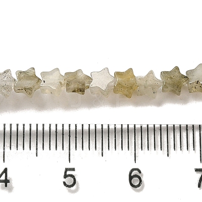 Natural Labradorite Beads Strands G-G085-B25-01-1