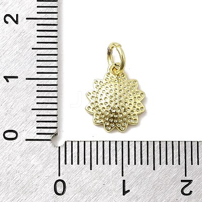 Brass Enamel Pendants KK-P338-19G-04-1