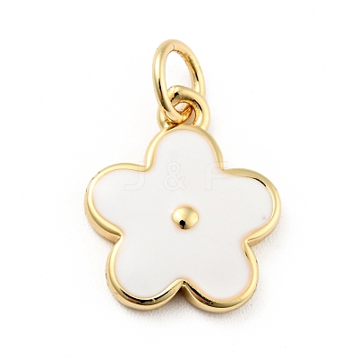 Rack Plating Brass Enamel Charms KK-G387-09G-1