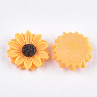 Resin Cabochons CRES-T010-57-1