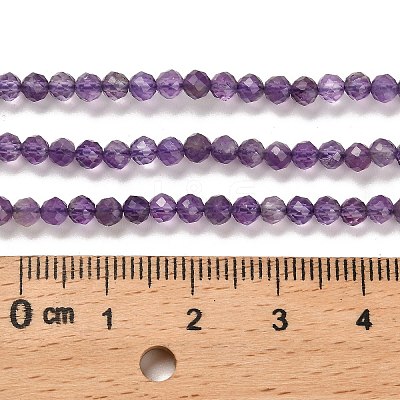 Natural Amethyst Beads Strands X-G-K373-B03-03-1
