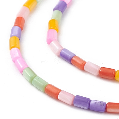 Natural Freshwater Shell Dyed Beads Strands X-SHEL-M018-12-13-1