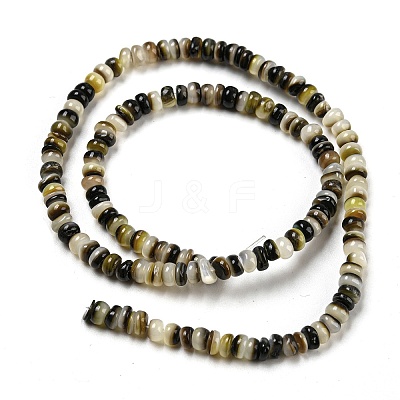 Natural Black Lip Shell Beads Strands BSHE-Z005-06-1