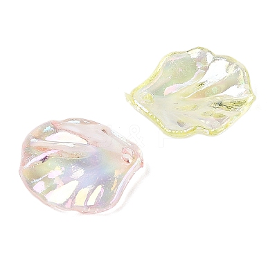 Transparent Acrylic Pendants TACR-F009-08-1
