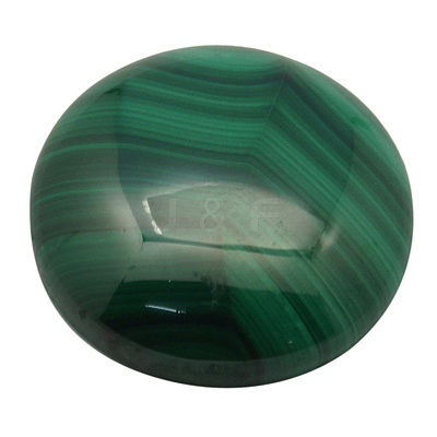 Natural Malachite Cabochons X-MALA-20D-6-1