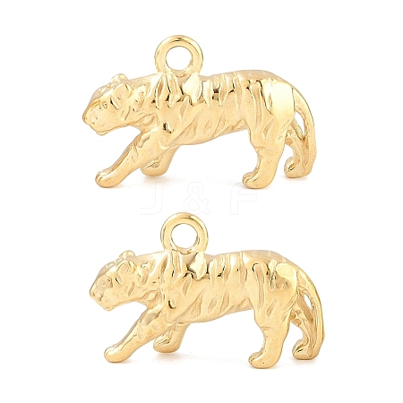304 Stainless Steel Pendants SA-CBA02E8-05G-1