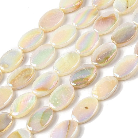 Natural Freshwater Shell Beads Strands X-BSHE-H018-06-1