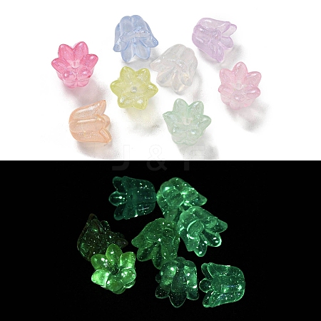 Luminous Acrylic Beads OACR-E041-15-1