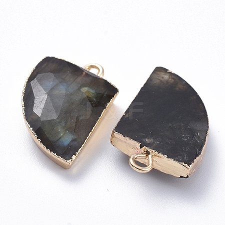 Natural Labradorite Pendants G-E564-06A-1