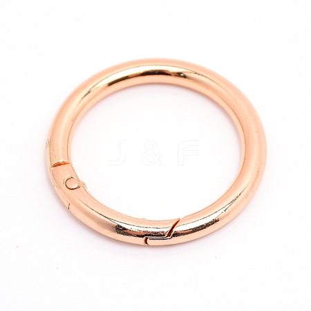 Alloy Spring Gate Rings AJEW-WH0129-48D-LG-1