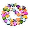 Natural Freshwater Shell Beads Strands SHEL-Q024-002-2