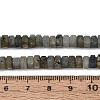 Natural Labradorite Beads Strands G-N357-14A-07-5