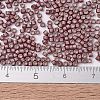 MIYUKI Delica Beads X-SEED-J020-DB1167-4