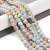 Natural Rainbow Alashan Agate Beads Strands G-NH0022-B01-01-2