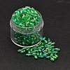 AB Color Plated Rice Electroplated Eco-Friendly Transparent Acrylic Beads X-PACR-I002-18-1