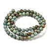 Natural Turquoise Beads Strands G-P506-04A-01-2