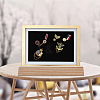 Wood Brooch Storage Holder ODIS-WH0038-129-6