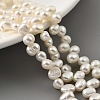 Natural Cultured Freshwater Pearl Beads Strands PEAR-A006-14-6