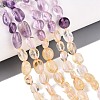 Natural Rose Quartz & Amethyst & Citrine(Heated) & Prehnite Beads Strands G-N371-01A-01-2