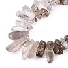 Natural Green Lodolite Quartz/Garden Quartz/Green Phantom Quartz Beads Strands G-N362-16A-01-4