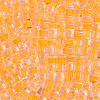 Transparent Inside Colours Glass Seed Beads SEED-T007-11G-2