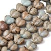 Natural Shoushan Stone Beads G-D098-B05-2